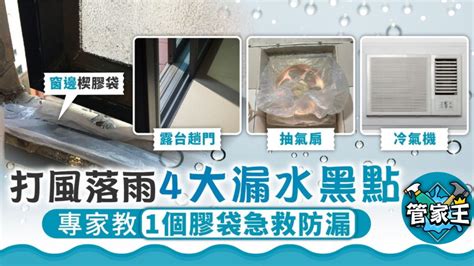 颱風漏水|颱風桃芝｜打風落雨家居漏水滲水黑點 專家教1個膠袋 